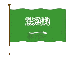 العلم السعودي